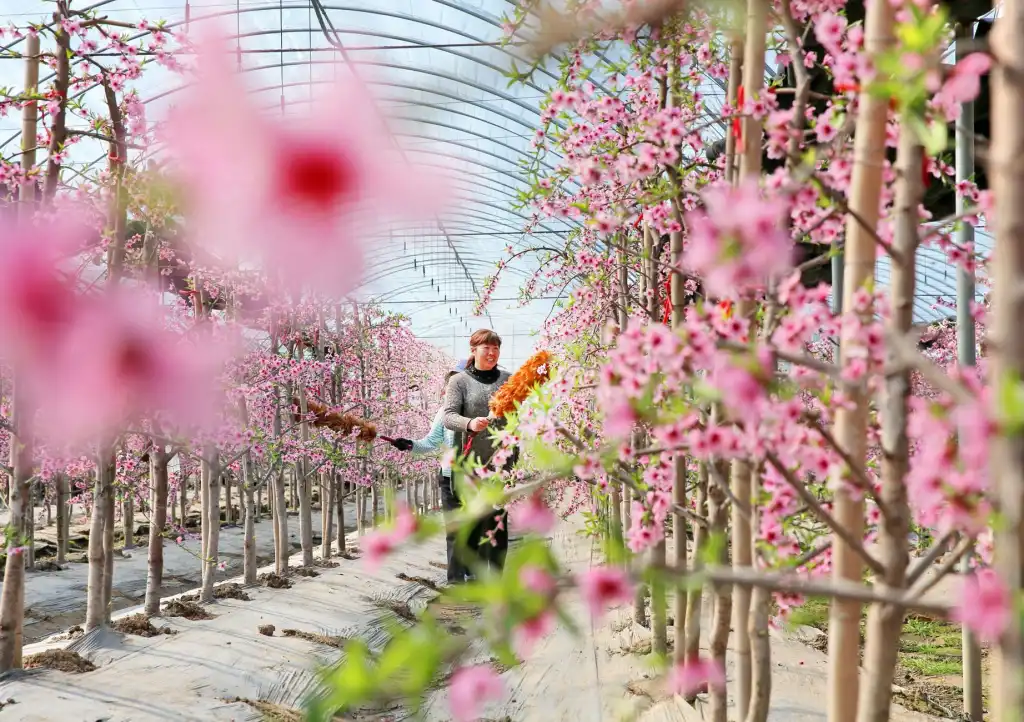 2025年深圳投资咨询行业新政解读与合规应对策略