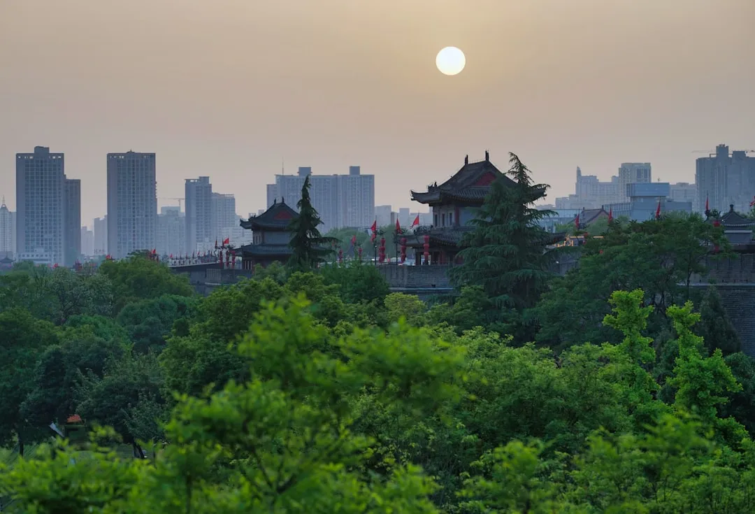 2025年投资咨询行业新规对华南财富管理业务的影响分析