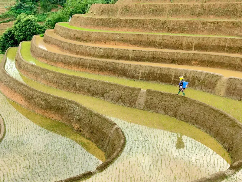 2025年深圳投资咨询行业最新政策解读与合规要点分析