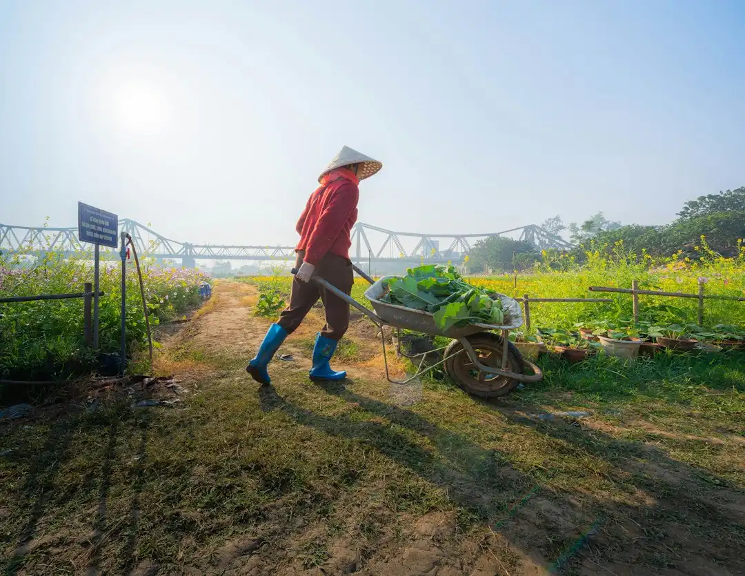 2025年深圳投资咨询行业新规解读与合规管理要点