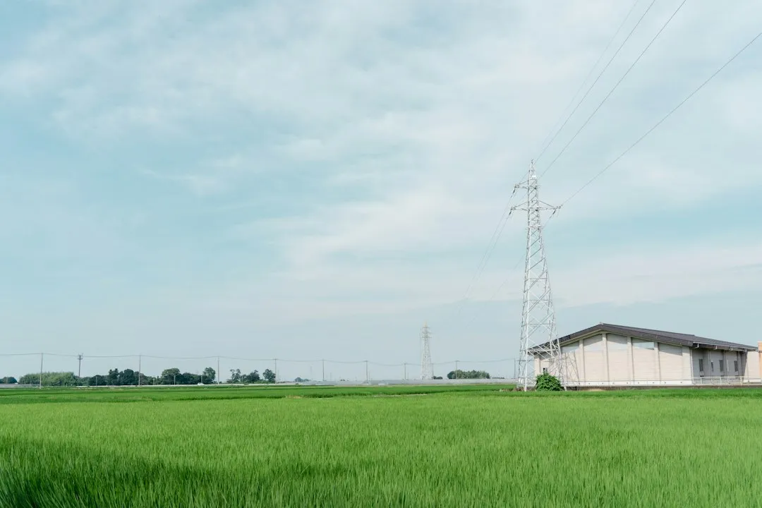 2025年深圳投资咨询行业最新监管政策解读与合规要点