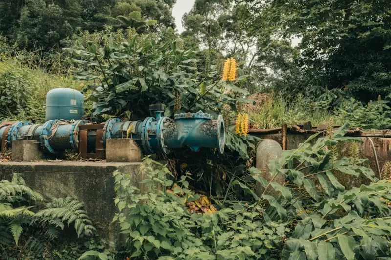 投资咨询中的风险管理技术：基于深圳市场的应用案例